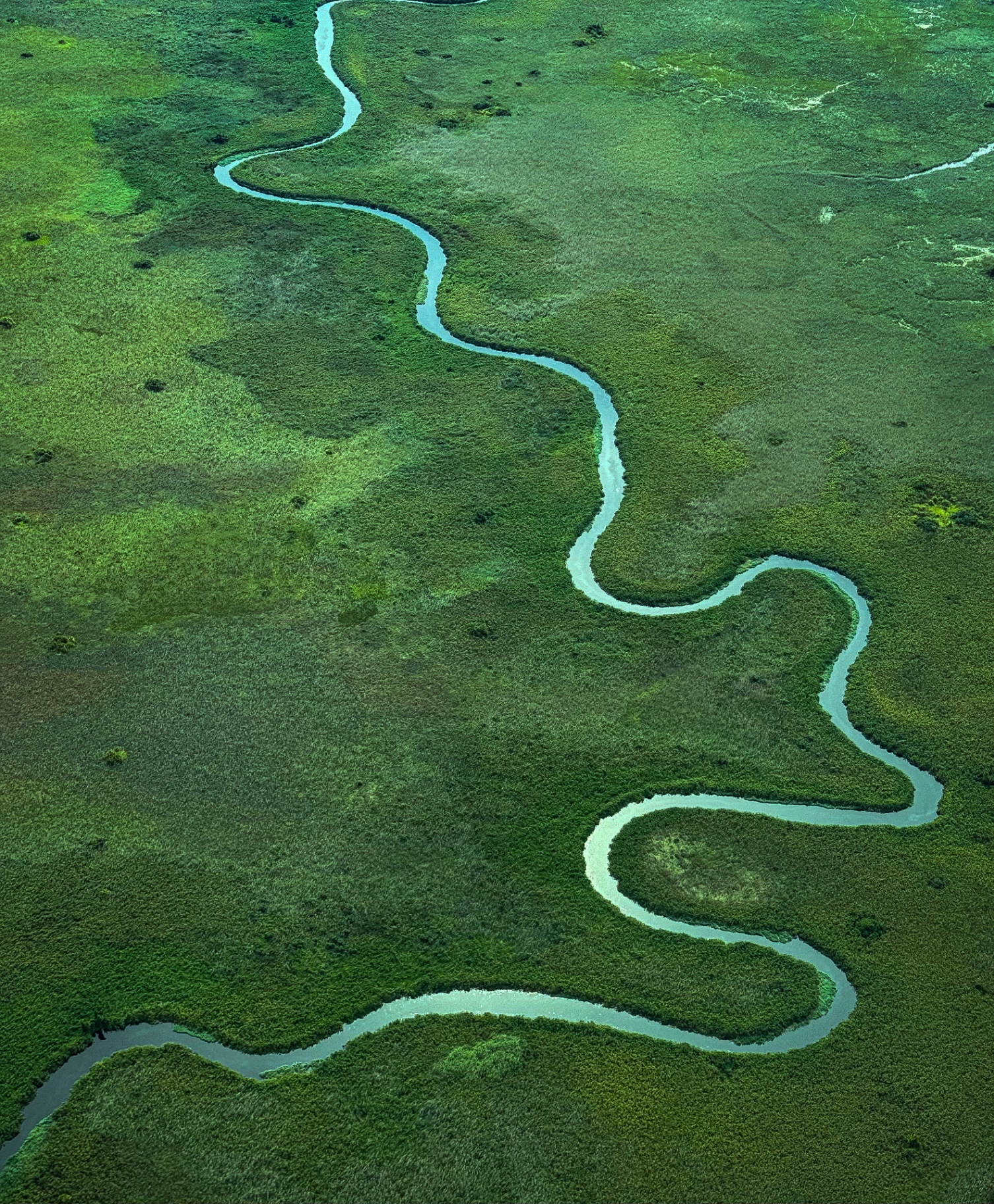 Aerial view of a winding channel threading the green floodplains of the Okavango Delta